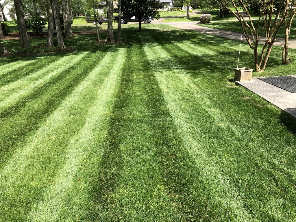A thick, deep-green residential lawn with clean mowing stripes, maintained by Magnolia Green Lawns